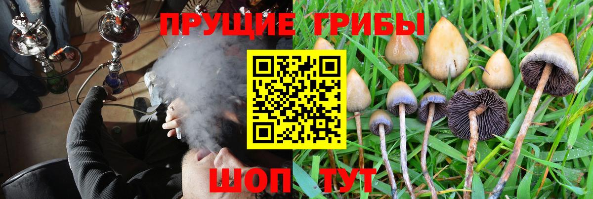 Псилоцибиновые грибы Magic Shrooms  купить наркотики цена  Алапаевск  Вход с VPN 